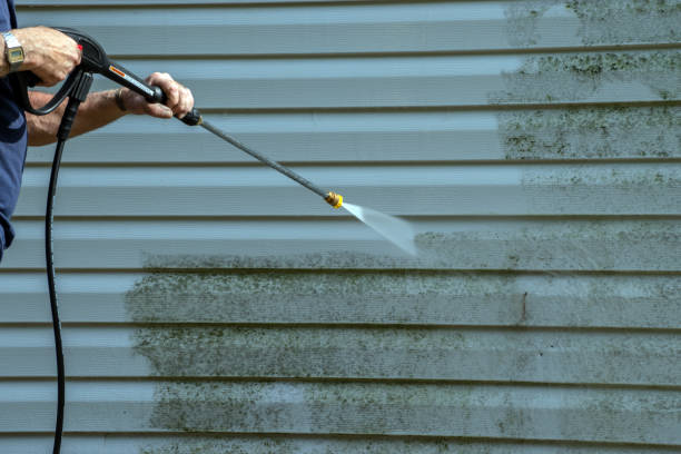 Best Local Pressure Washing Services  in Zion, IL